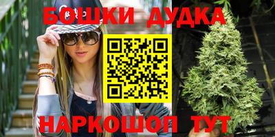 индика Бузулук